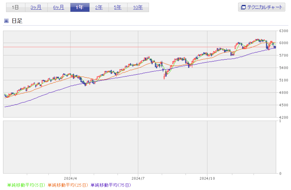 S&P500指数2024年年間