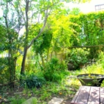 定年後に地方移住した60代両親を半年後に陥れた「信じがたい光景」