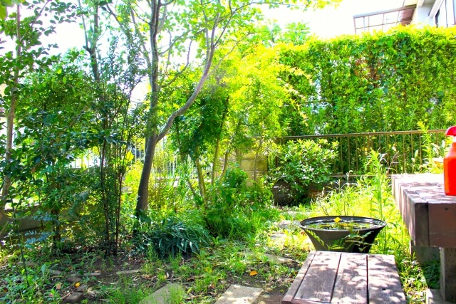 定年後に地方移住した60代両親を半年後に陥れた「信じがたい光景」